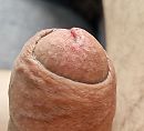 Close-up Eikel., foto 3294x3000, 0 reacties, 4 stemmen