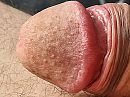 Close-up Eikel., foto 4000x3000, 0 reacties, 5 stemmen