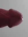 Close-up van onderaf, foto 1095x1443, 3 reacties, 6 stemmen