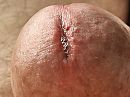 Close-up., foto 4000x3000, 6 reacties, 9 stemmen