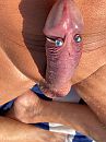 Close-upje op het strand, foto 1512x2016, 6 reacties, 15 stemmen