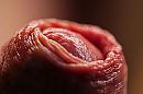 Close Up, foto 1500x1000, 4 reacties, 6 stemmen