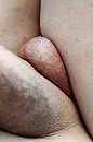Close Up, foto 1000x1500, 0 reacties, 4 stemmen