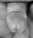 Close en up, foto 1539x1796, 2 reacties, 3 stemmen