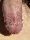Close up serie., foto 3000x4000, 0 reacties, 5 stemmen