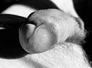 Close up serie., foto 4000x3000, 0 reacties, 3 stemmen