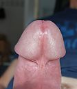 Close up, foto 1610x1858, 2 reacties, 7 stemmen