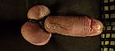 Close up., foto 4000x1801, 2 reacties, 6 stemmen