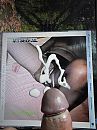 Cock Tribute JacquelineMarc2, foto 768x1024, 1 reacties, 3 stemmen