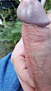 Cock Tribute, foto 2250x4000, 4 reacties, 5 stemmen