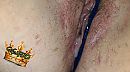 Creampie…, foto 2046x1138, 1 reacties, 16 stemmen