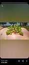 Creatief op naaktstrand, foto 945x2048, 18 reacties, 45 stemmen