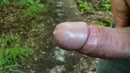 Cum cum, film 00:00:00, 21 reacties, 53 stemmen