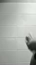 Cumming hard, film 00:00:00, 0 reacties, 10 stemmen