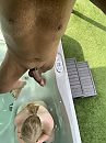 Dagje spa met SB, foto 2316x3088, 6 reacties, 32 stemmen