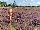 De heide in bloei....., foto 4000x3000, 45 reacties, 172 stemmen