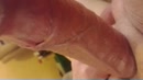 Deepthroat, film 00:00:04, 2 reacties, 10 stemmen