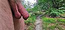 Dick Flash, foto 2594x1200, 5 reacties, 11 stemmen