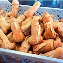 Die bakker toch, foto 508x508, 0 reacties, 6 stemmen