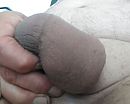 Dikke balzak, foto 2483x1990, 2 reacties, 9 stemmen
