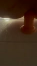 Dildo rijden ❤️, film 00:00:00, 11 reacties, 27 stemmen