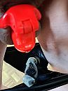 Dildo broekje, foto 3000x4000, 6 reacties, 11 stemmen