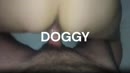 Doggy gepakt..., film 00:00:15, 34 reacties, 154 stemmen