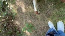 Doggy in het bos, film 00:00:29, 26 reacties, 226 stemmen