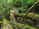 Domaine de Longuefeuille, foto 800x600, 4 reacties, 26 stemmen