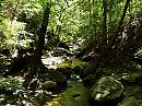Domaine de Longuefeuille, foto 800x600, 0 reacties, 5 stemmen