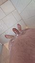 Douche, foto 2160x3840, 1 reacties, 9 stemmen