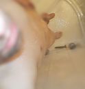 Douche kom naar mij, foto 2903x3037, 0 reacties, 6 stemmen