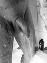 Douchen, foto 3000x4000, 0 reacties, 2 stemmen