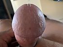 Druipende eikel, foto 2048x1536, 1 reacties, 2 stemmen
