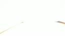 Drup drup, film 00:00:20, 15 reacties, 70 stemmen