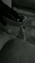 Dubbel plezier..., film 00:00:06, 46 reacties, 88 stemmen