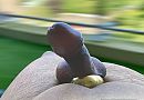 …balkon geil.., foto 2237x1556, 5 reacties, 7 stemmen