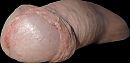 ❤️, foto 1016x494, 0 reacties, 4 stemmen
