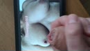 Echt he...., film 00:00:00, 10 reacties, 11 stemmen