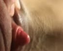 Een heerlijke klit, film 00:00:12, 3 reacties, 19 stemmen