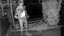 Een naaktLoper in mijn tuin, foto 640x360, 1 reacties, 3 stemmen