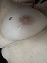 Een, foto 2316x3088, 16 reacties, 57 stemmen