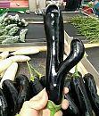 Eigen moestuintje, foto 617x720, 6 reacties, 12 stemmen