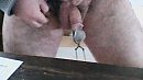 Eikel ..., foto 640x360, 1 reacties, 2 stemmen