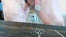 Eikel ..., foto 640x360, 0 reacties, 2 stemmen