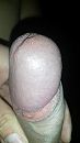 Eikel, foto 1836x3264, 1 reacties, 4 stemmen