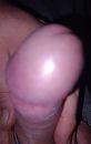 Eikel.., foto 2340x3701, 1 reacties, 5 stemmen