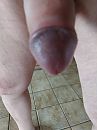 Eikel close up, foto 3000x4000, 1 reacties, 3 stemmen