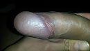 Eikel, foto 3264x1836, 0 reacties, 1 stemmen