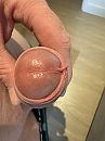 Eikel, foto 3000x4000, 1 reacties, 4 stemmen